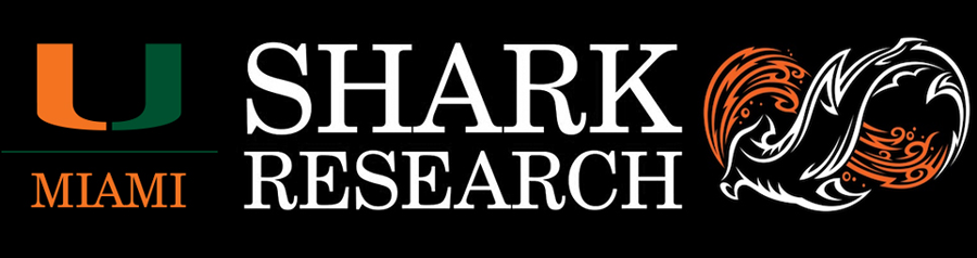 Shark Research & Conservation Program (SRC) | University of Miami