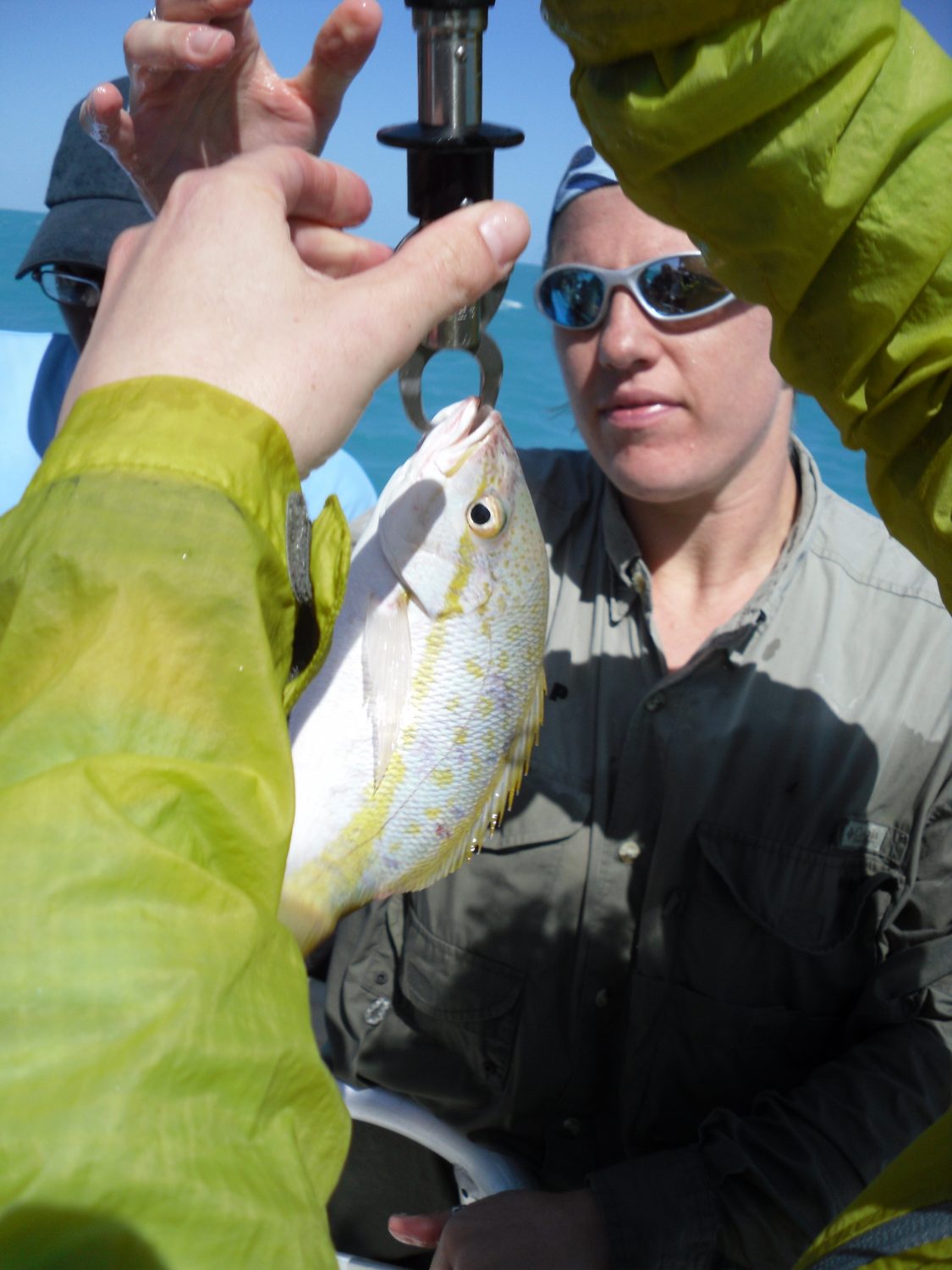 Nurse Sharks Galore! 3/13/10 – Shark Research & Conservation Program