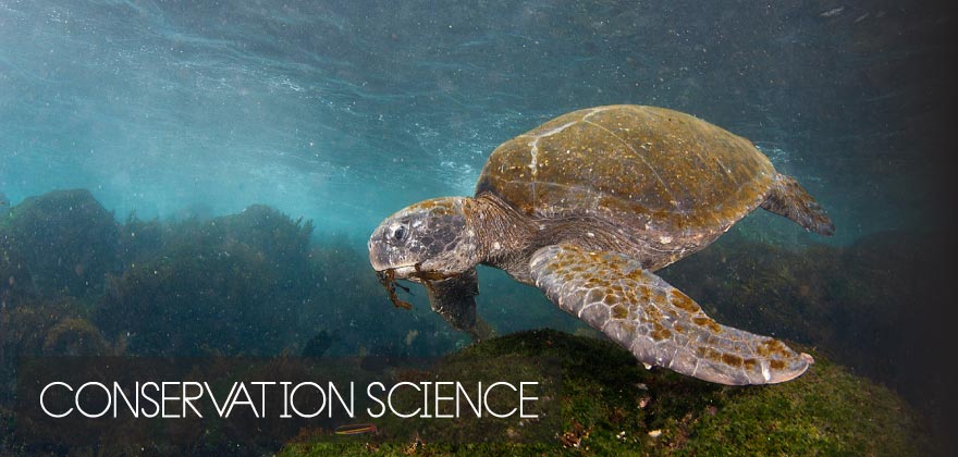 conservation-science-header