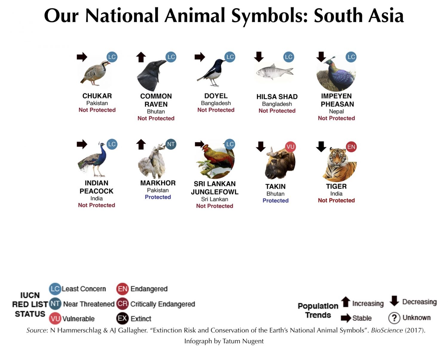 National Animal Symbols: South Asia – Shark Research & Conservation ...