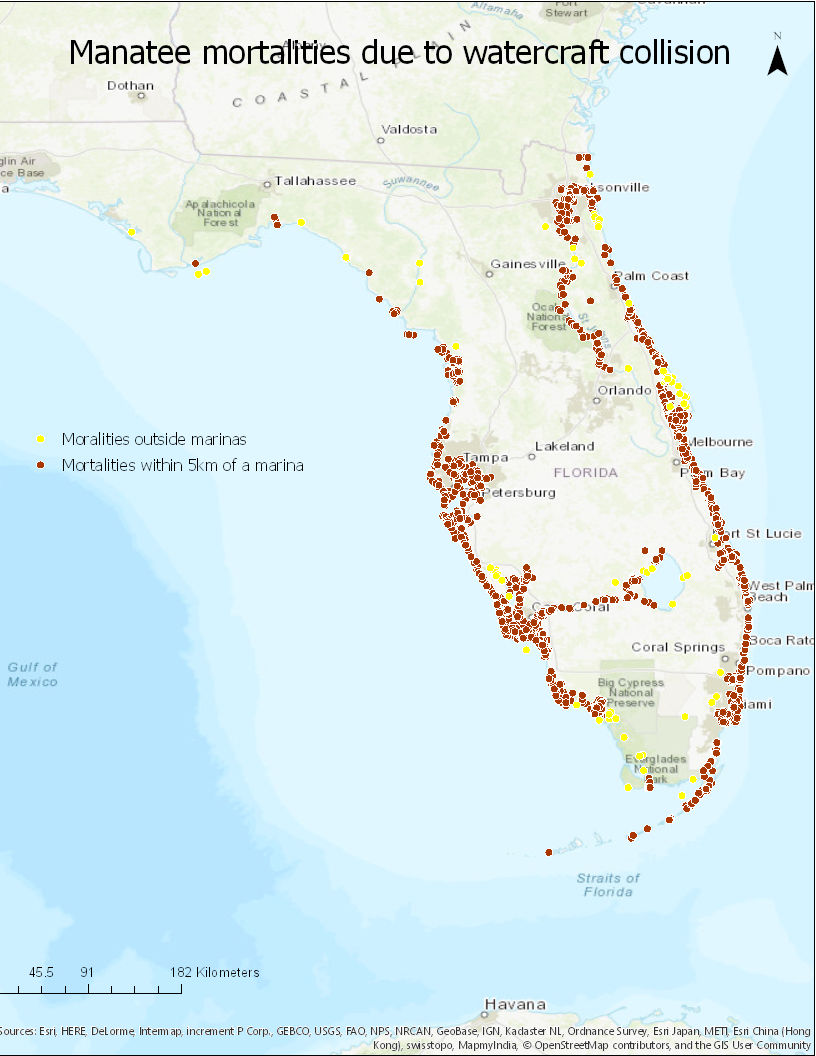 Historical vulnerability of manatees to boat strikes in Florida – Shark