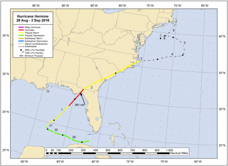 The Effect of Hurricane Hermine on Black Sea Bass – Shark Research ...