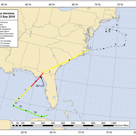 Ingestion Of Marine Debris And Sperm Whales – Shark Research 