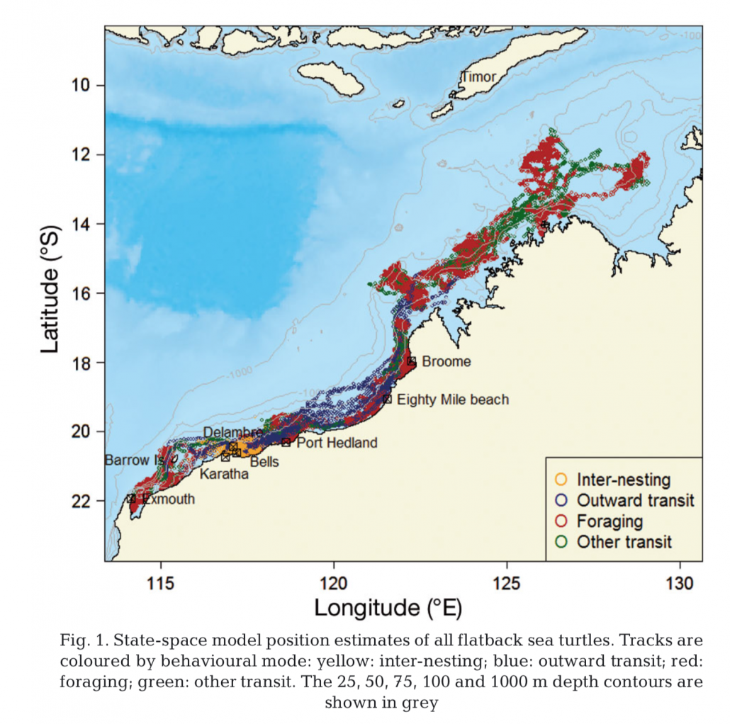 Ups and Downs of habitat use: Horizontal and vertical movement ...