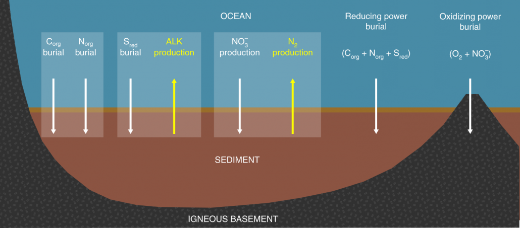 Don’t Treat Your Marine Sediments Like Dirt – Shark Research ...