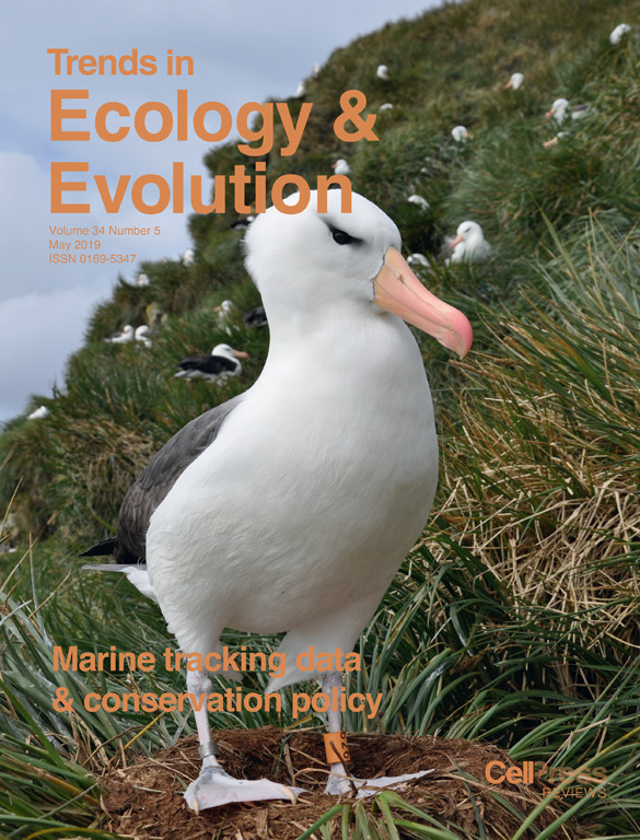 SRC Highlights in 2019 – Shark Research & Conservation Program (SRC ...