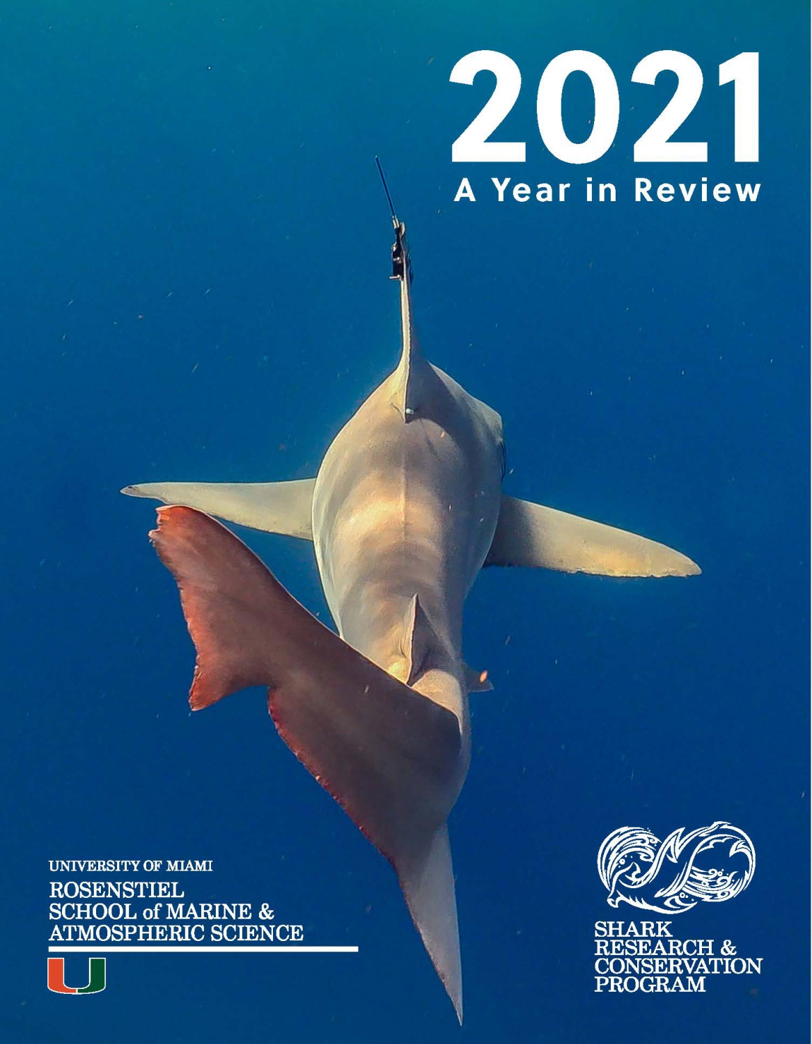 Annual Reports – Shark Research & Conservation Program (SRC ...