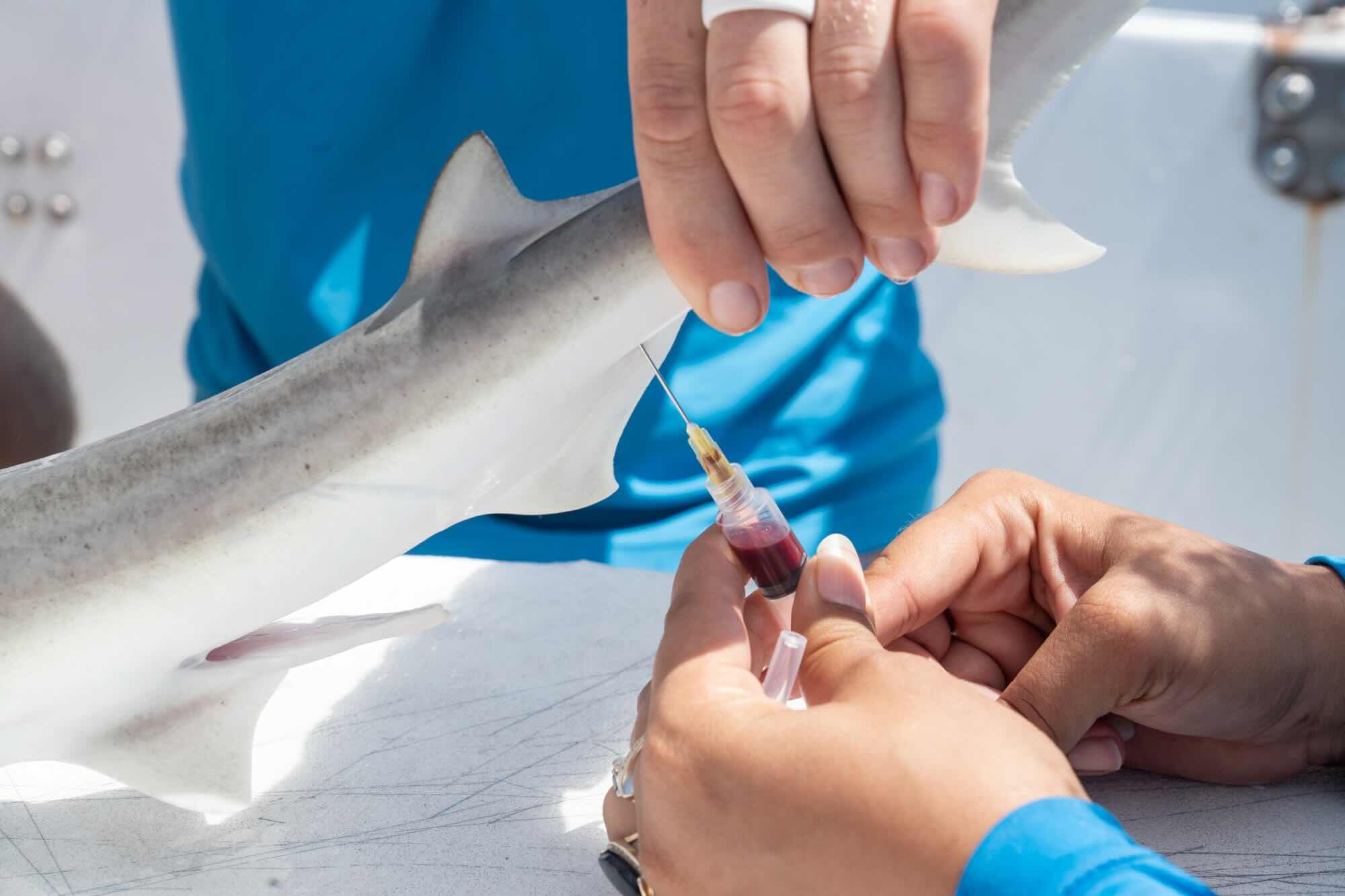 240717_4_NS_UM Scholars_Elite (1)